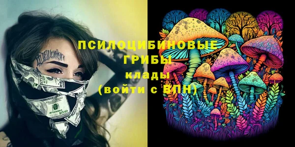 Альфа ПВП Баксан