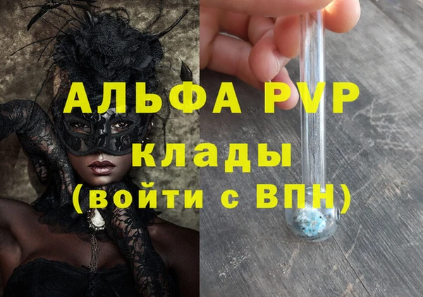 стаф Арсеньев