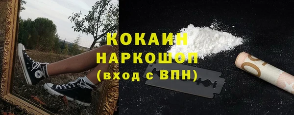 стаф Арсеньев