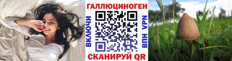 где можно купить наркотик  Можга  Галлюциногенные грибы прущие грибы 