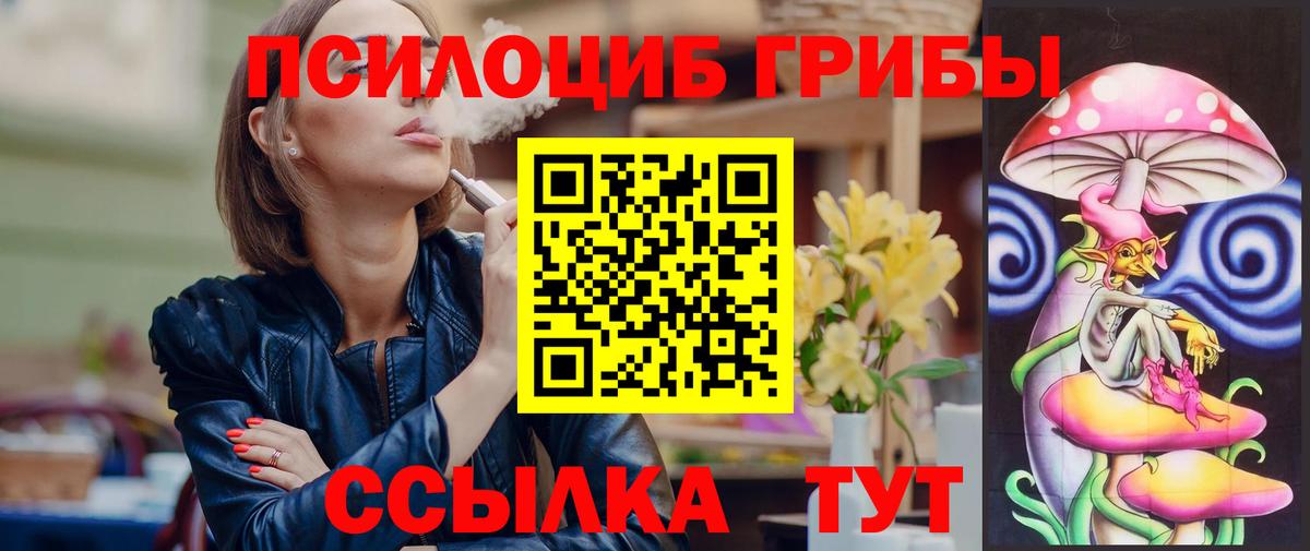 Псилоцибиновые грибы Psilocybe Можга