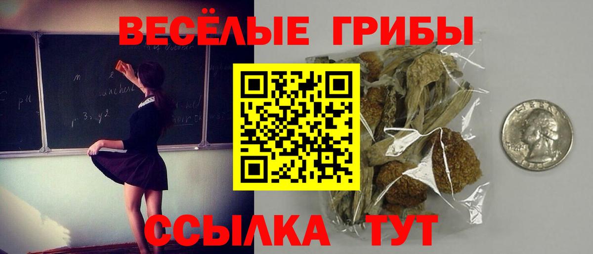 Галлюциногенные грибы GOLDEN TEACHER  Вход с VPN  Галлюциногенные грибы Cubensis  Можга 